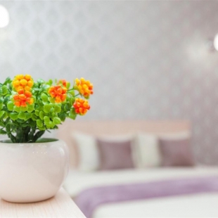 Фотография квартиры Central Park (Централ Парк) на улице Таврическая