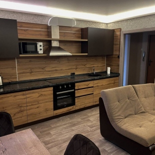 Фотография квартиры Апартаменты улице Партизана Железняка 53