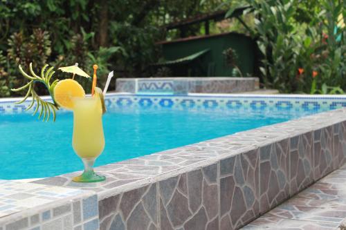 Фотографии гостиницы
La Posada Jungle Hotel