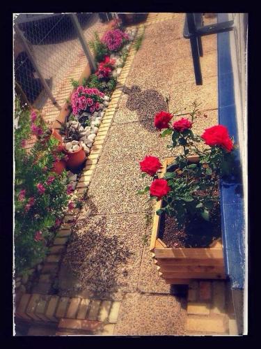 Фотография гостевого дома Hostal Puerto de Santa Maria