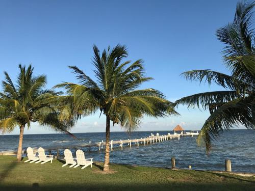 Фотография гостиницы Tilt-Ta-Dock Resort Belize