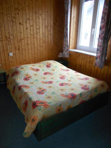 Фотография гостиницы Hotel Les Sapins