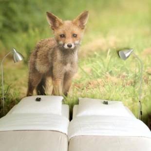 Фотографии гостиницы
Hajé Restaurant de Aalscholver