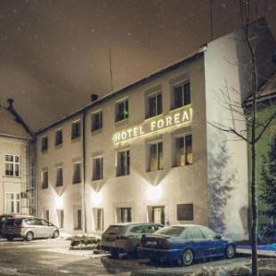 Фотографии гостиницы 
            Hotel Forea