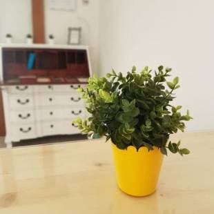 Фотографии хостела 
            JACOB'S HOSTEL TUI