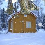 Фотография гостевого дома Villa Seven