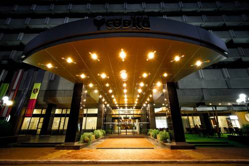 Фотография гостиницы Кодру