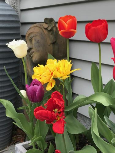 Фотография мини отеля Arrowtown House Boutique Hotel