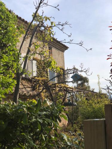 Фотография мини отеля La Belle Etoile Chambres