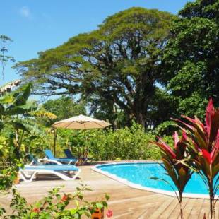 Фотография гостиницы The Hummingbird