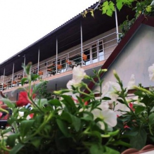 Фотография мини отеля Камалия