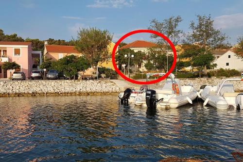 Фотография гостевого дома Apartments by the sea Veli Rat, Dugi otok - 437