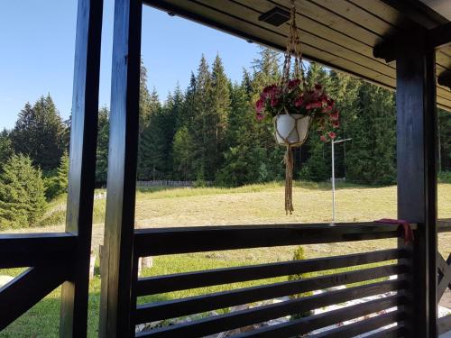 Фотографии базы отдыха
Pensiunea Maria-Bucovina