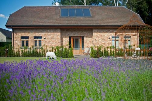 Фотография мини отеля B&B Hildegarden