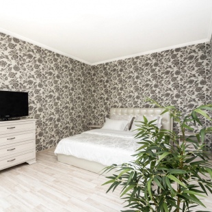 Фотография квартиры Апартаменты Огромная студия на Мястровской