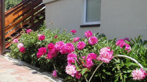 Фотографии гостевого дома
Homely