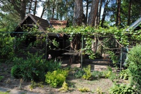 Фотография гостевого дома Дом Брюховичи