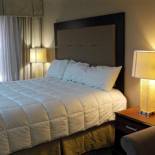 Фотография мотеля HOTEL DEL SOL - Pensacola