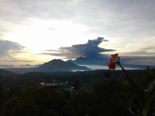 Фотография хостела Bunbulan Hill Hostel and Villa