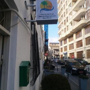 Фотография хостела Пальмовый и беспорядок