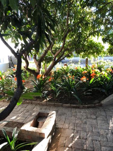 Фотография гостевого дома The Lemon Tree