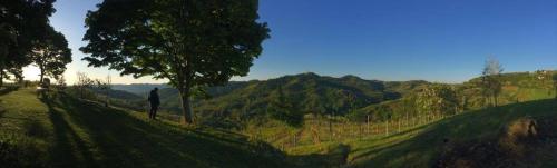 Фотография мини отеля Bed & Breakfast Montesterlino