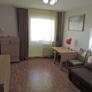 Фотография квартиры Апартаменты Babushka