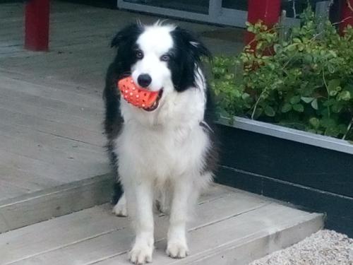 Фотография мини отеля Mahinapua Retreat B&B