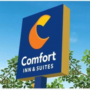 Фотография гостиницы Comfort Inn & Suites Dallas Medical-Market Center