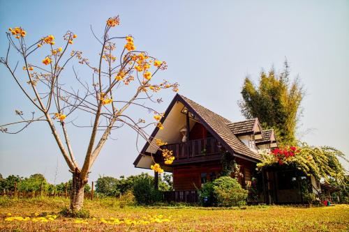 Фотография гостевого дома Cozycomo Chiang Dao - Wiang Mek