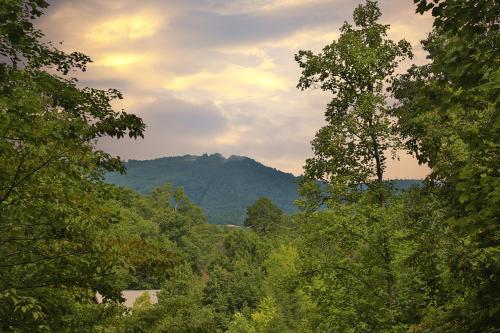 Фотография гостевого дома Lily's Loft