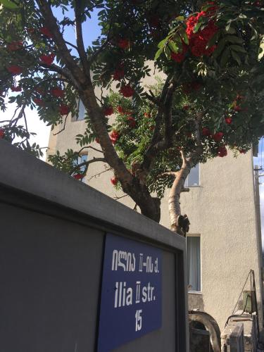 Фотографии гостиницы
MOUNTAIN HEART