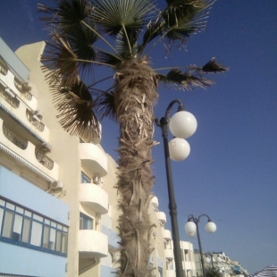 Фотография квартиры Апартаменты Наш Парус