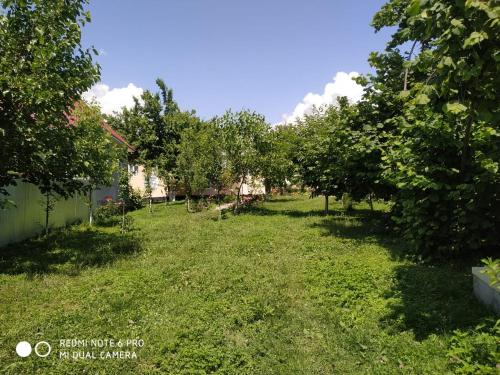 Фотография гостевого дома Elsen Home