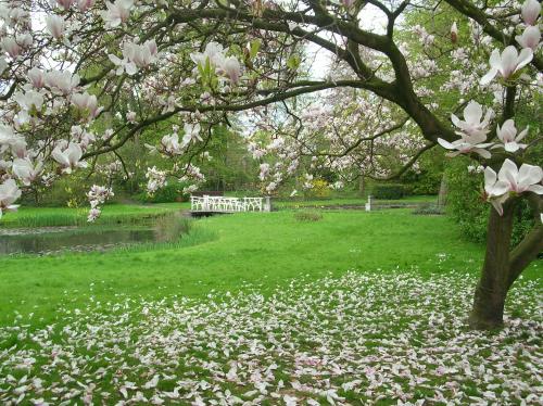 Фотография мини отеля Het Rustpunt