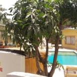 Фотография мини отеля B & B Teranga Warang