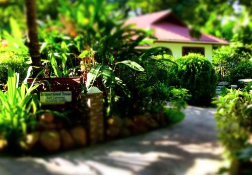 Фотография мини отеля Buisson Guesthouse