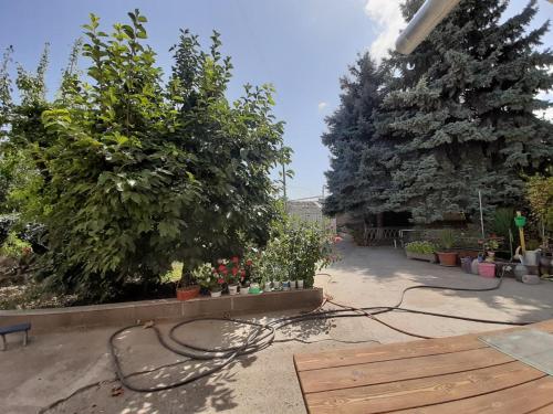 Фотография гостевого дома Ellnor