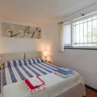 Фотографии гостевого дома 
            Giardino dei Limoni