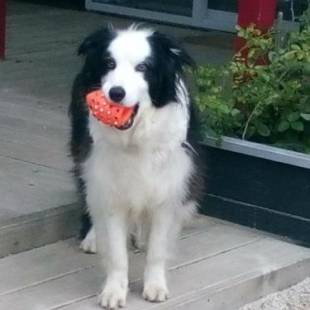 Фотографии мини отеля
Mahinapua Retreat B&B