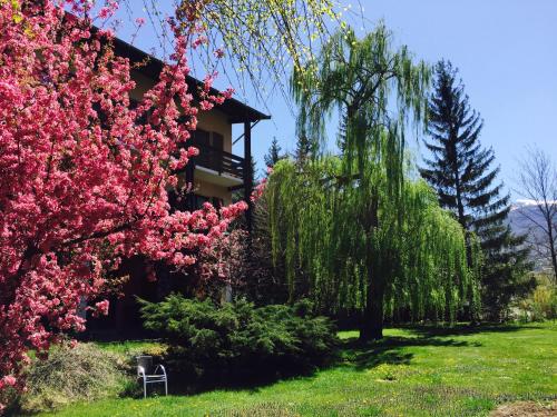 Фотография гостиницы Hôtel Lacour