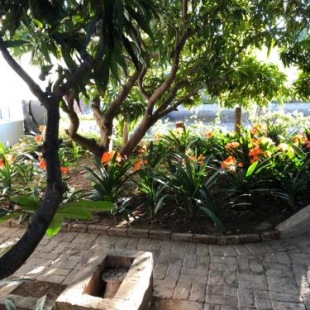 Фотография гостевого дома The Lemon Tree