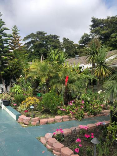 Фотография мини отеля Oceana Boutique Hotel