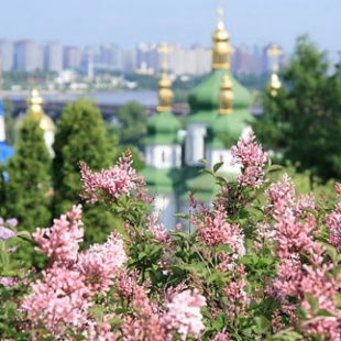 Фотография Национальный ботанический сад им. Н. Гришка НАН Украины