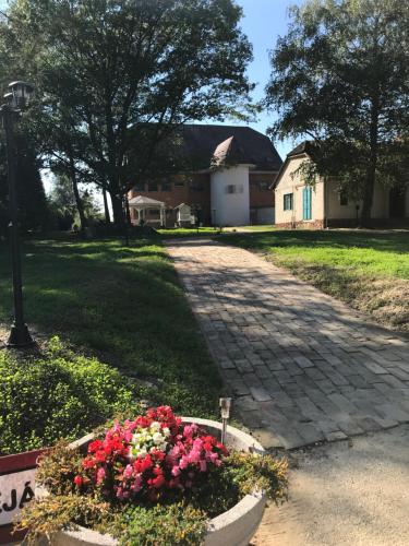 Фотография мини отеля Rómahegy Rendezvényház