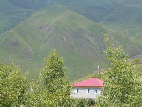 Фотография гостевого дома Guest house Data