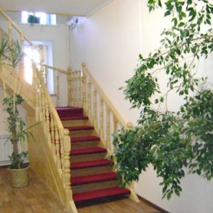 Фотография гостевого дома Галчонок