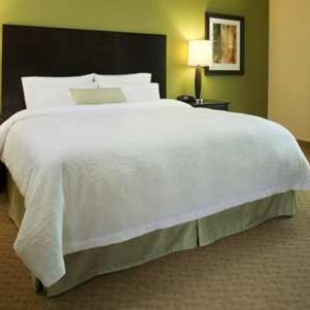 Фотография гостиницы Hampton Inn Magnolia