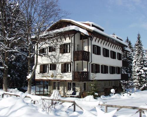 Фотографии гостиницы 
            Victoria Hotel Borovets - Free Parking