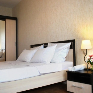 Фотография квартиры Саквояж на проспекте Ленина 72А